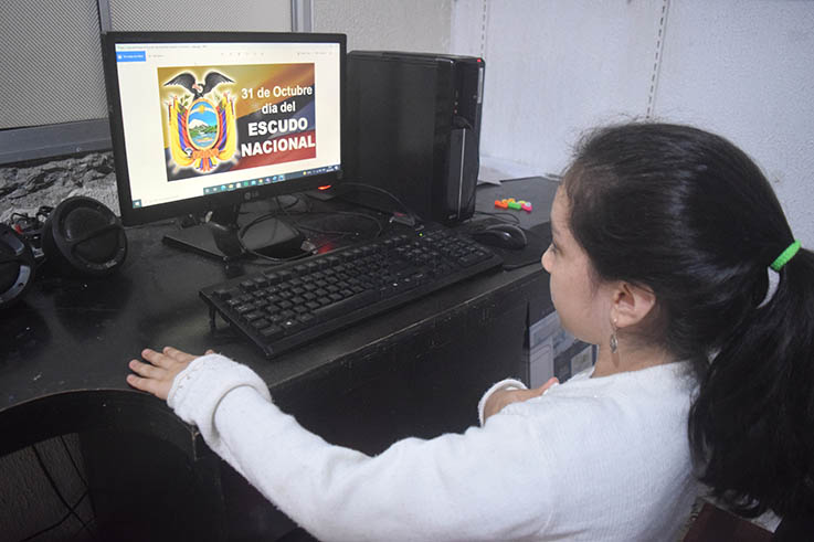 ACTO. Varios estudiantes rindieron homenaje al Escudo Nacional de manera virtual.