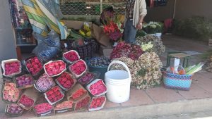 Dos ferias de flores  se realizan en Ambato  por el Día de los Difuntos