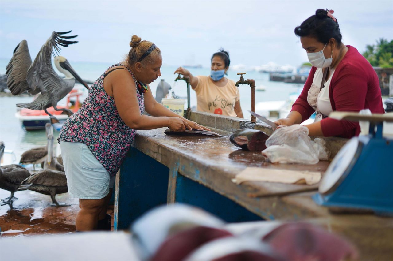 Pescadores y comerciantes del mercado Puerto Ayora