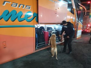 Se realizaron operativos caninos antidrogas en Esmeraldas