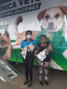 Gratis esterilización de mascotas