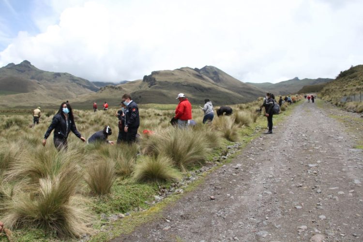 Premios Sacha reconocen el plan  de reforestación de Tungurahua