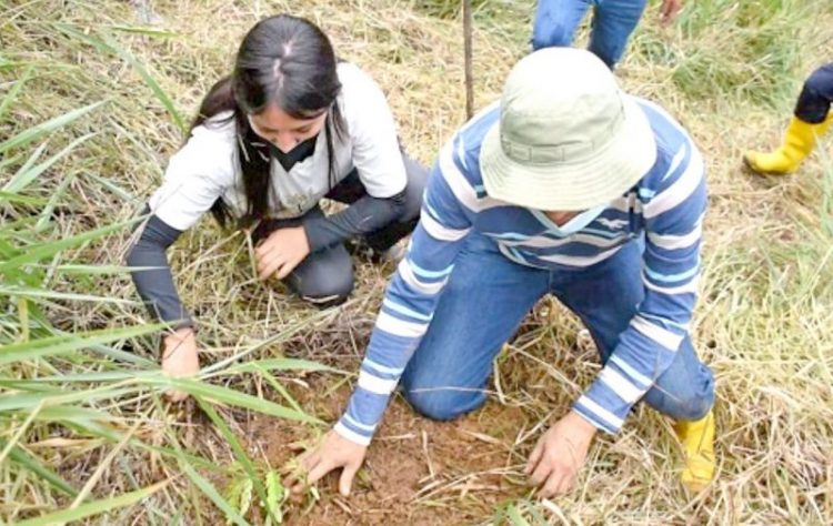 Reforestación en el cantón Yantzaza