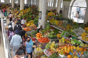 Diésel sin subsidio provocaría un gasto adicional de $2,45 en la canasta básica