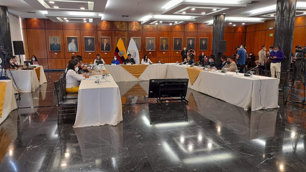 errores-informe-comision-garantias-contitcionales-pandora-papers