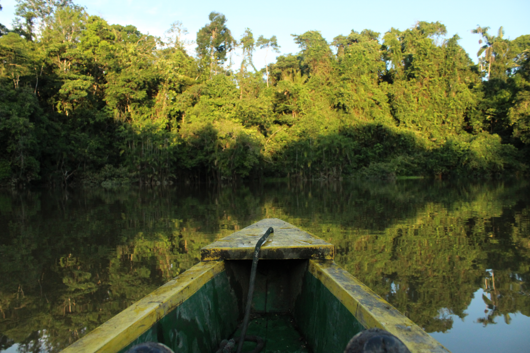 El Yasuní está en la Amazonía ecuatoriana.