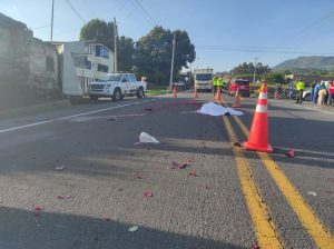 Adulto mayor muere atropellado en la Panamericana Sur