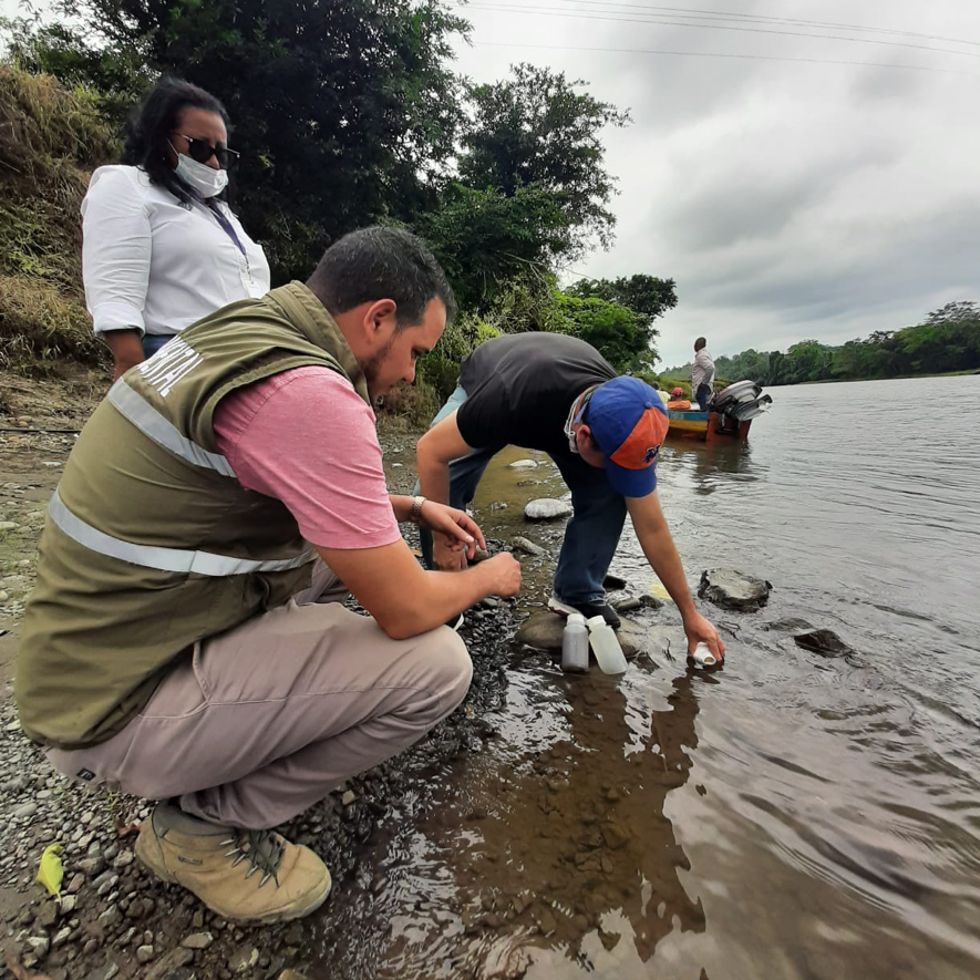 Muerte de peces motiva investigación