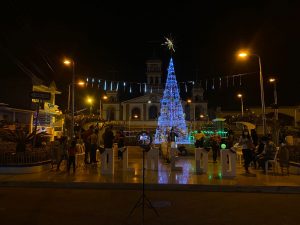 Olmedo enciende su árbol de Navidad