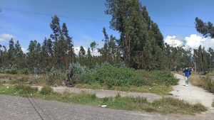 Un año más sin viviendas sociales en Tungurahua