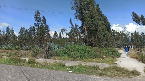 El terreno destinado para este proyecto en Ambato continúa abandonado