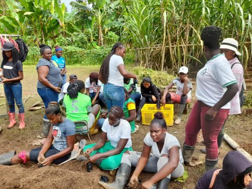 Agricultores de Eloy Alfaro organizan plantón