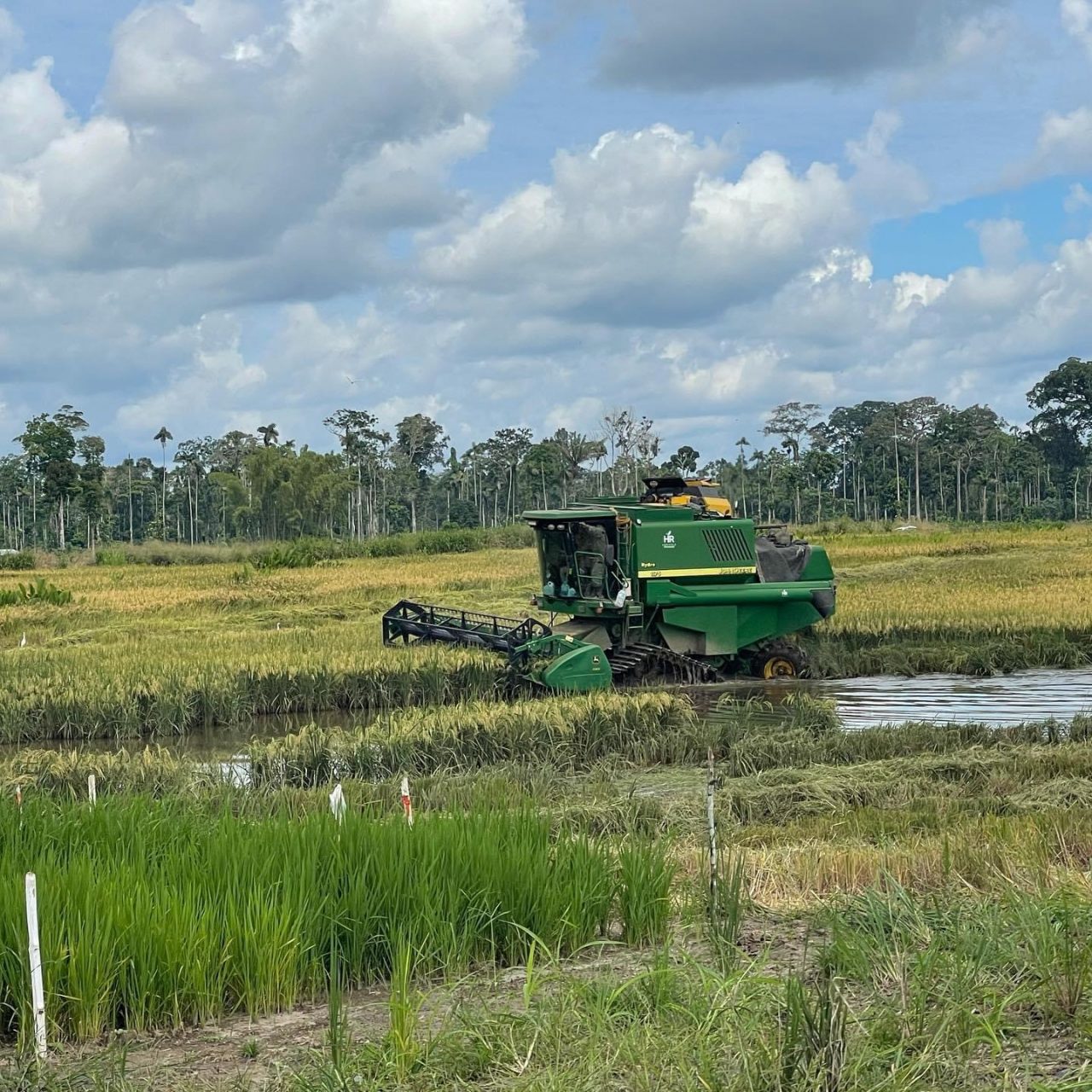 CRISIS. El agro ecuatoriano tiene baja productividad y poco financiamiento.