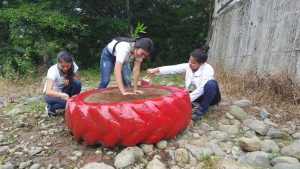 Se planifica la semana de la educación ambiental