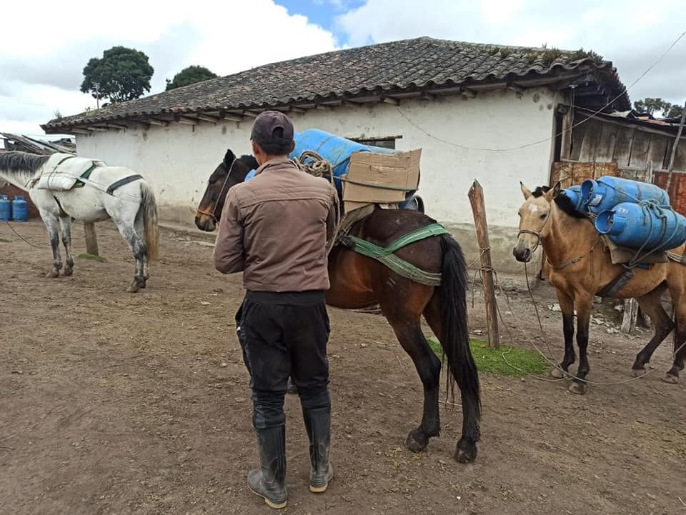 Tráfico. Por las ‘trochas’ y con animales de carga es una de las maneras que usan para que el gas llegue a Colombia.