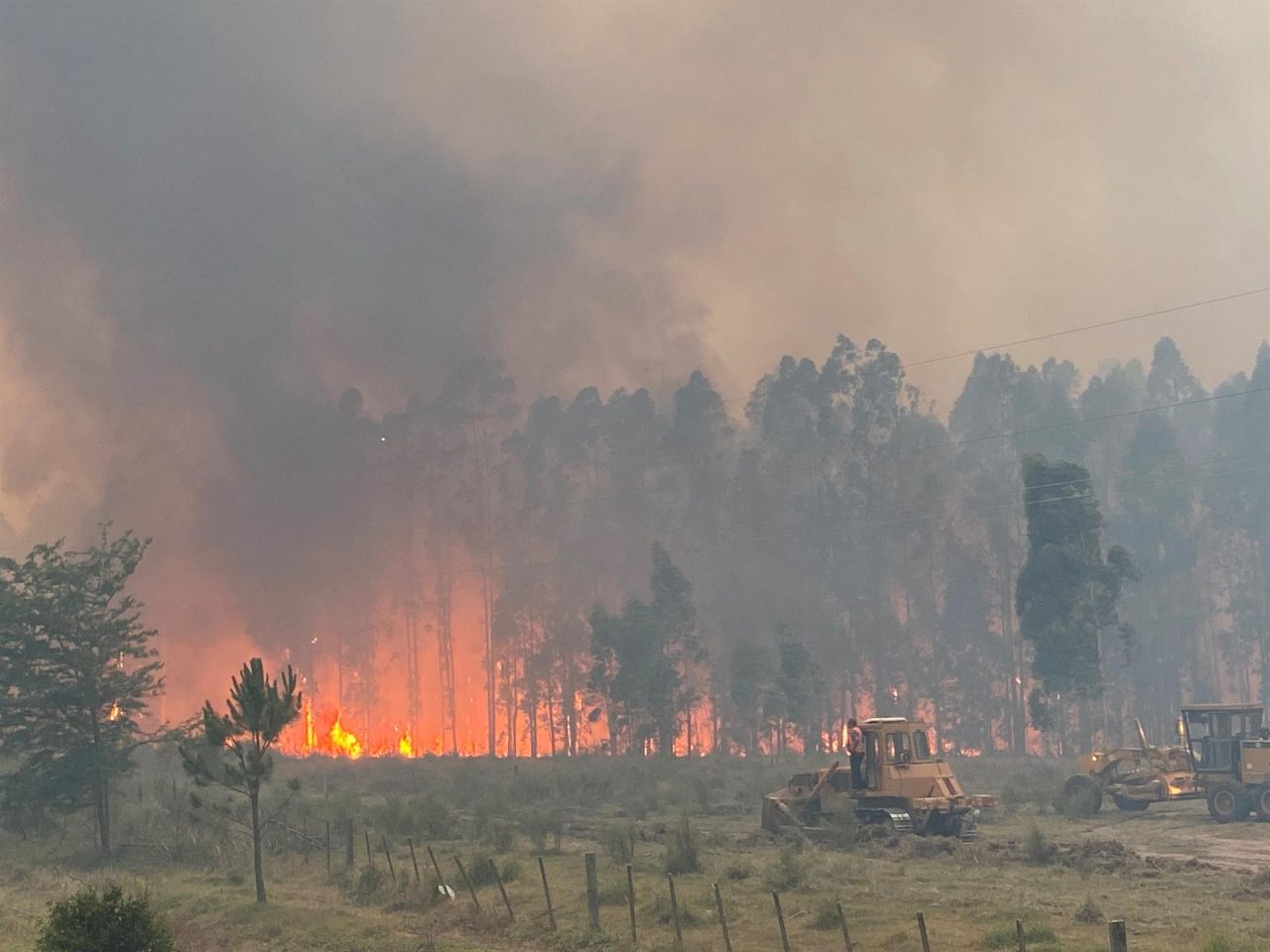 INCENDIOS. Los Bomberos de Uruguay han impedido que el fuego afecte a sitios poblados.