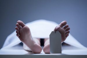 Mujer de la tercera edad muere tras caer de su propia altura