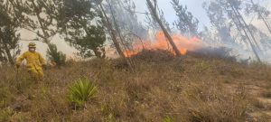 Incendio forestal en Quillán está controlado