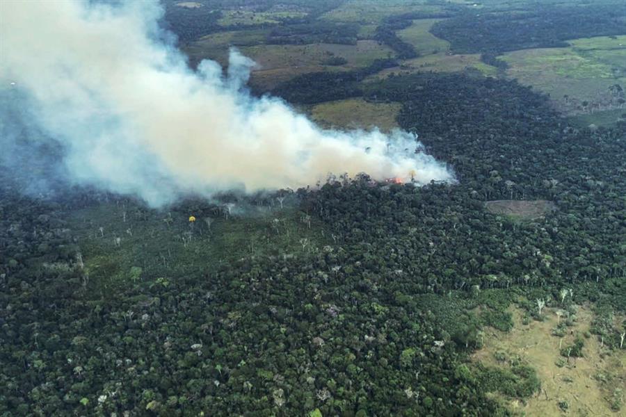 La Amazonía se consume entre las llamas y la deforestación