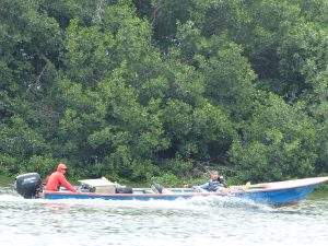 VIDA. Por el manglar pasa más del 70% de las especies marinas comercializables en algún estadio de reproducción.