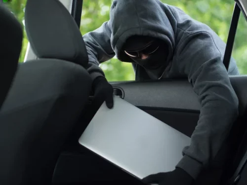 Se le llevan varios artículos del interior de su carro