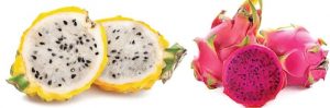En la tierra de Santo Domingo se produce pitahaya, fruta de exportación