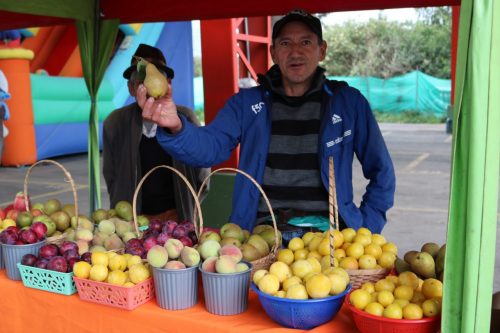 Tres días de festival de la fruta en Cevallos