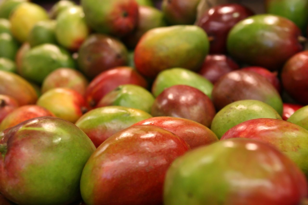 RAZÓN. El mango es de las frutas usadas para llevar cocaína.