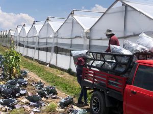 Agricultures de Chachoán con pérdidas por mal estado de vías