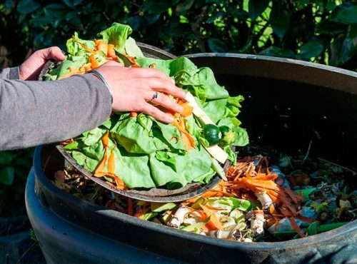 Consejos para reducir el desperdicio de alimentos