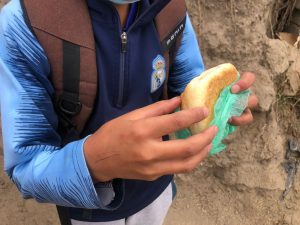 Aumentan casos de atención de ‘bichos’ en el estómago en Ambato