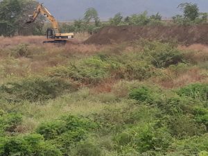 En Naranjal se adjudicaron 192 hectáreas a un ‘fantasma’