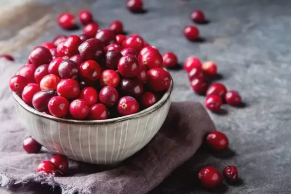 El consumo diario de arándano rojo fortalece el corazón