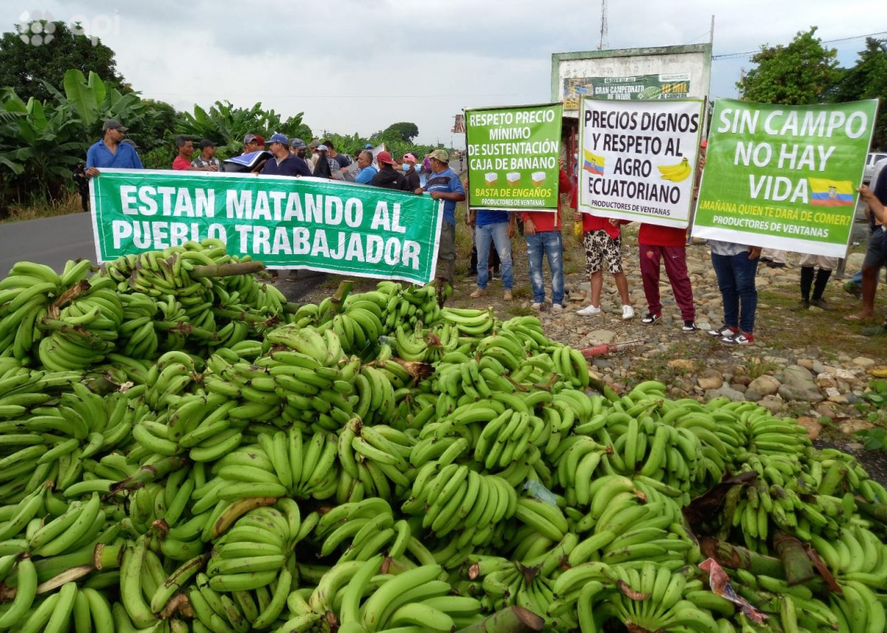 Crisis sector agrícola