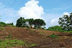 Suspenden adjudicación  de tierras en la zona rural