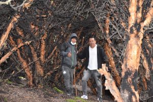 Los páramos de Pilahuín albergan un ‘bosque de papel’