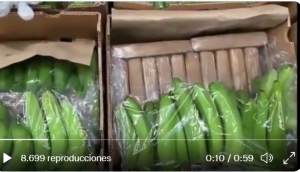 Policía de Ecuador decomisa cocaína en un cargamento de banano de exportación que tenía como destino Bélgica