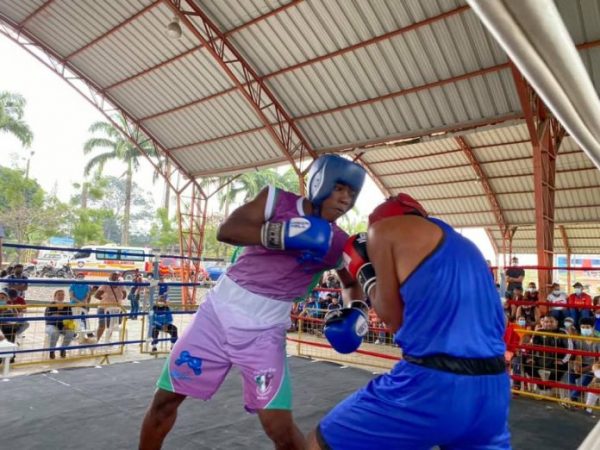 boxeo de élite en Quevedo