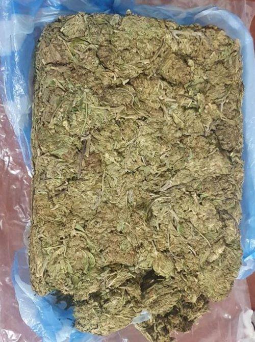 Tres ciudadanos sorprendidos con marihuana en Loja