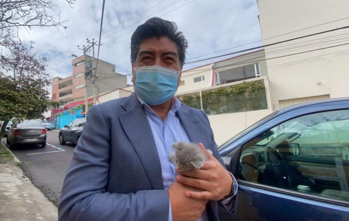 Momento. Jorge Yunda llega a su espacio radial con un gato que le regaló la doctora Linda Guamán, con quien comparte un juicio por presunto peculado.