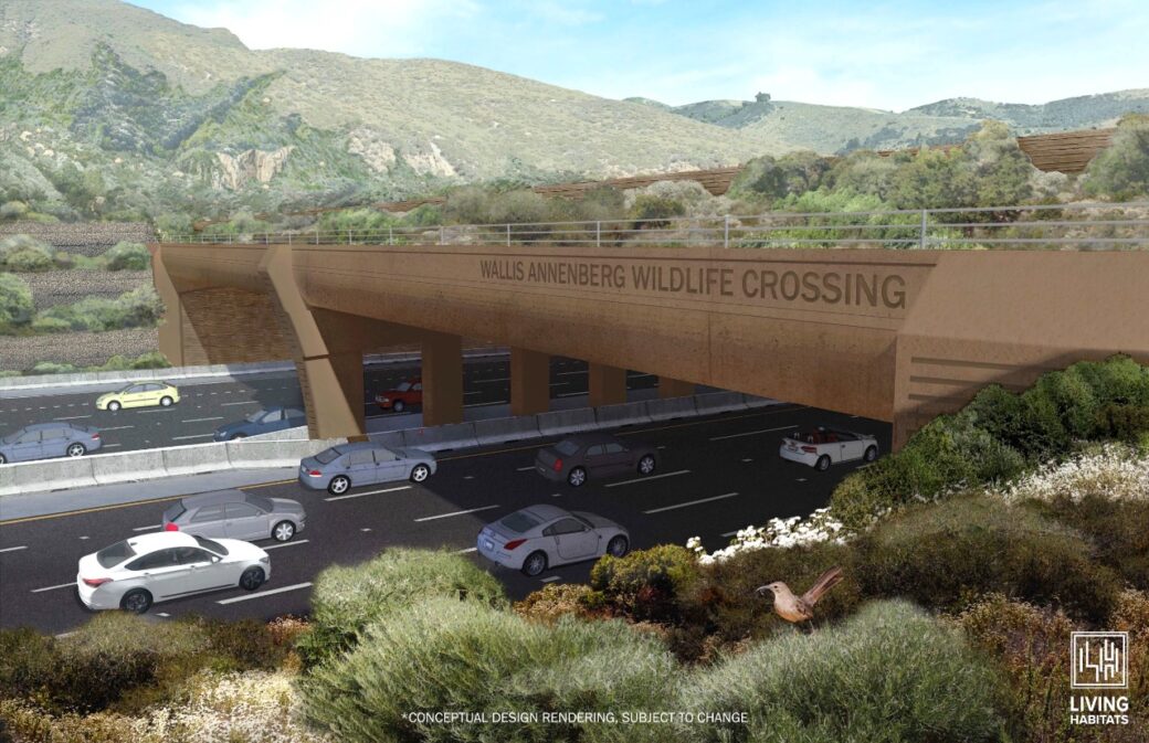 El puente para animales silvestres más grande del mundo se construye en California