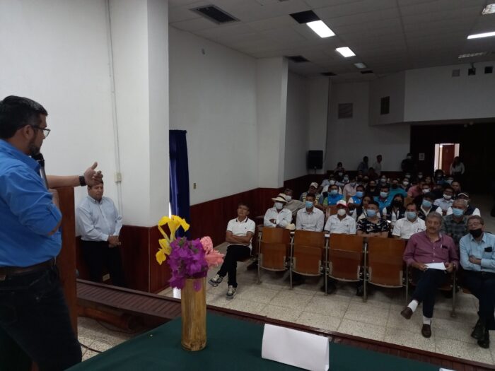 Iniap busca salvar las musáceas con agrotecnología
