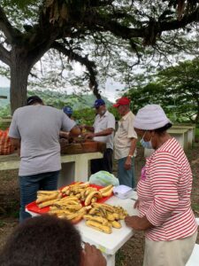 Adultos mayores realizan actividades lúdicas