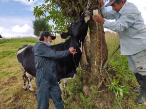 Clínica veterinaria móvil recorre varios sectores de Tungurahua