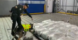 Hallan una tonelada de cocaína en el aeropuerto de Quito