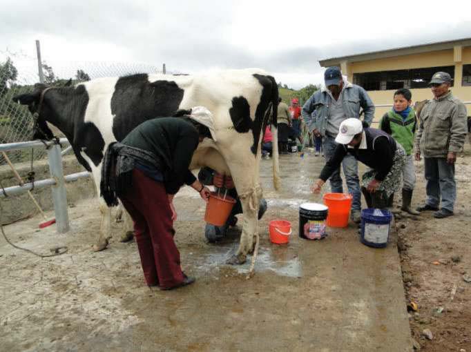 El incremento del precio de la leche golpea a cinco provincias