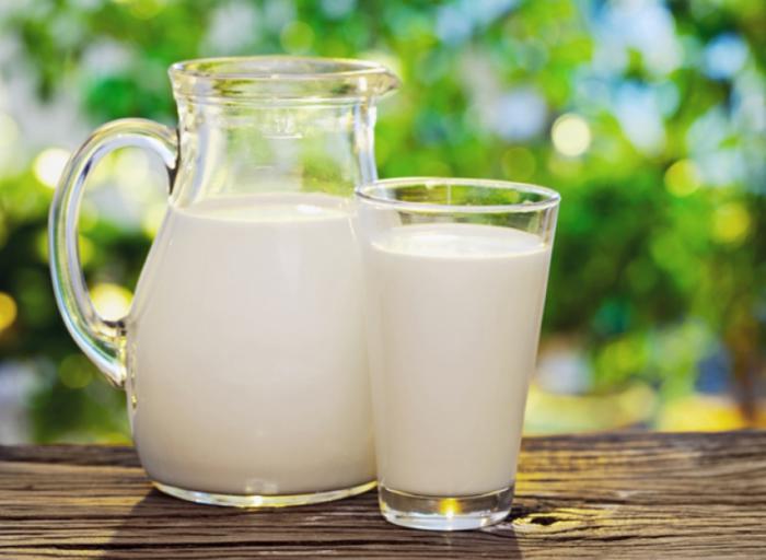 ¿Tomarías leche de cucaracha?