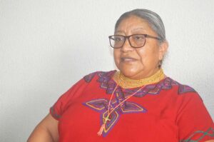 Mujeres indígenas en la palestra política