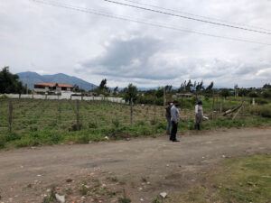 Superficie de labor  agropecuaria se  reduce en Tungurahua