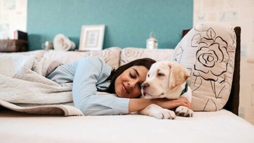 Ventajas y desventajas de dormir con tu perro